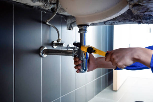 Best Emergency Plumbing Services in Tellico Plains, TN